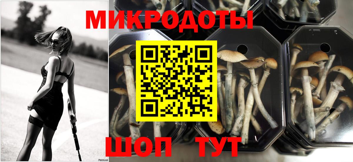 Псилоцибиновые грибы Cubensis Каменск-Уральский